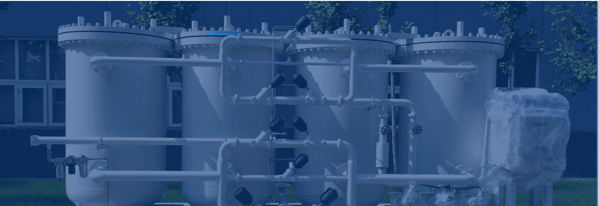 �ɹ�����